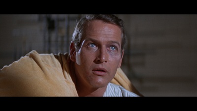 地狱先锋剧照的剧照