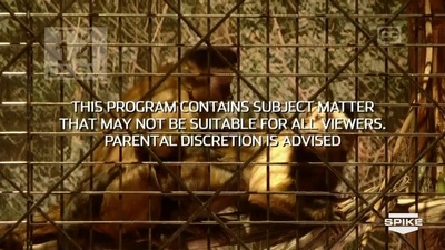 2011年男士选择大奖剧照的剧照