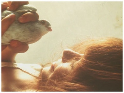 瓦莱莉和她的奇迹一周剧照的剧照