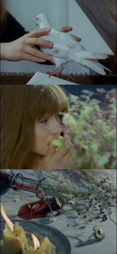 瓦莱莉和她的奇迹一周剧照的剧照