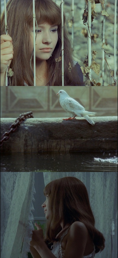 瓦莱莉和她的奇迹一周剧照的剧照