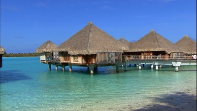 伴侣度假村剧照的剧照