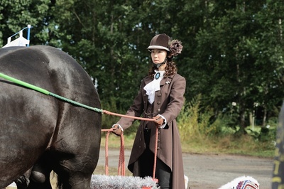 银之匙 真人版剧照的剧照