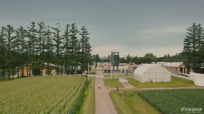 银之匙 真人版剧照的剧照