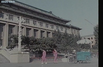 请勿打扰剧照的剧照