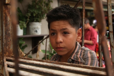 抓住外国佬剧照的剧照