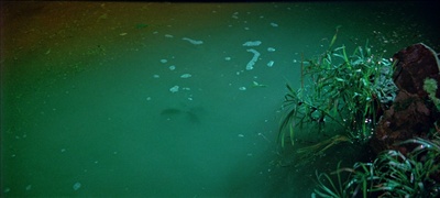 大醉侠剧照的剧照