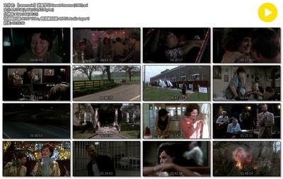 甜蜜梦幻剧照的剧照