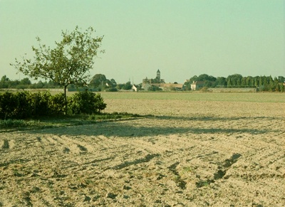 交通意外剧照的剧照