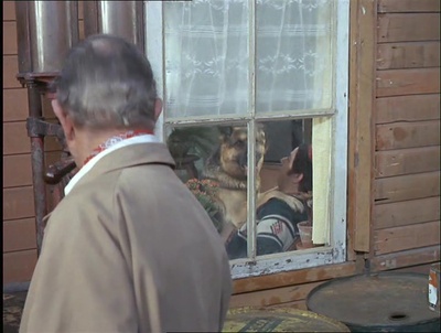 交通意外剧照的剧照