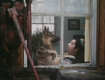 交通意外剧照的剧照