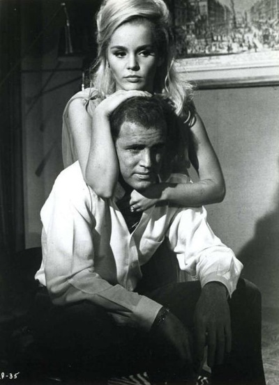 聪明笨伯小娇娃剧照的剧照