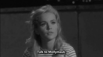 聪明笨伯小娇娃剧照的剧照