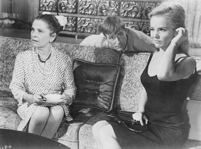 聪明笨伯小娇娃剧照的剧照