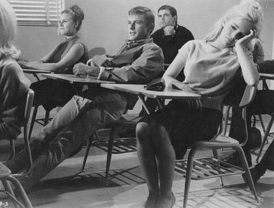 聪明笨伯小娇娃剧照的剧照