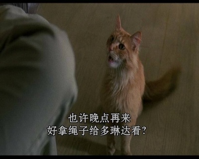 直到永远剧照的剧照