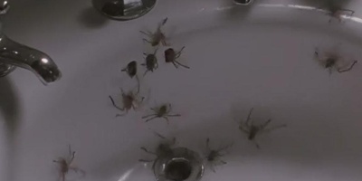 小魔星剧照的剧照