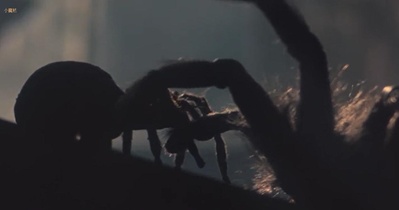 小魔星剧照的剧照