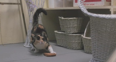 小魔星剧照的剧照