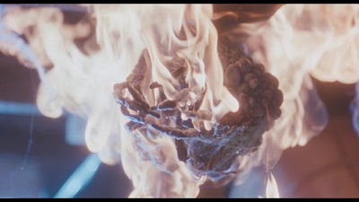 小魔星剧照的剧照