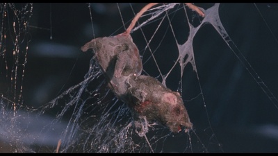 小魔星剧照的剧照