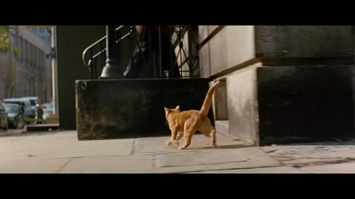 夺命感应剧照的剧照