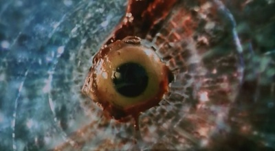 漩涡剧照的剧照