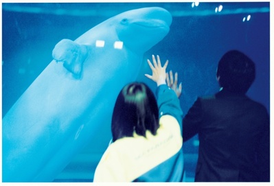 甜蜜小谎言剧照的剧照