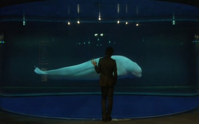 甜蜜小谎言剧照的剧照