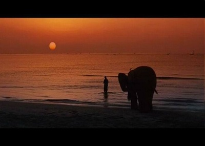 甜蜜的谎言剧照的剧照