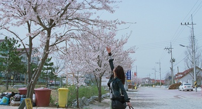 海边的女人剧照的剧照