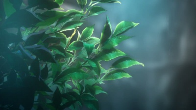 空之境界 第二章 杀人考察（前）剧照的剧照