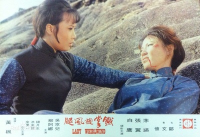 铁掌旋风腿剧照的剧照