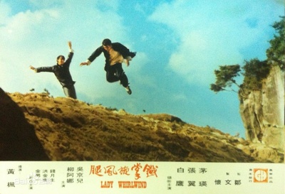 铁掌旋风腿剧照的剧照