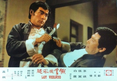 铁掌旋风腿剧照的剧照