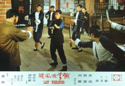 铁掌旋风腿剧照的剧照