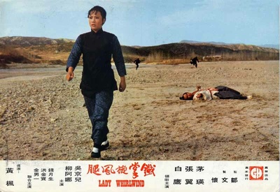 铁掌旋风腿剧照的剧照