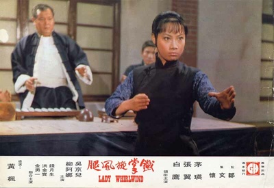 铁掌旋风腿剧照的剧照