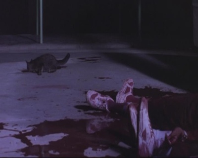 校园鬼降疯剧照的剧照