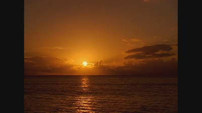 重回蓝色珊瑚礁剧照的剧照