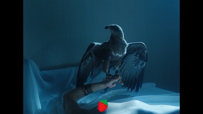 声音与愤怒剧照的剧照