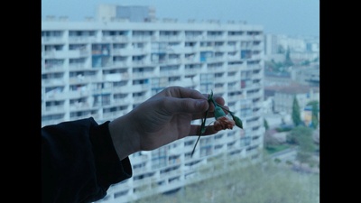 声音与愤怒剧照的剧照