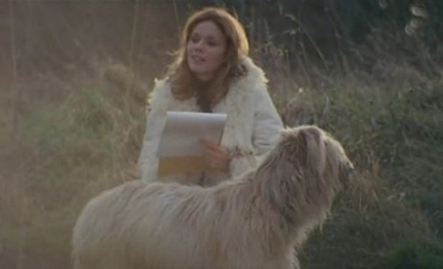 如今我的爱剧照的剧照