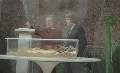 如今我的爱剧照的剧照