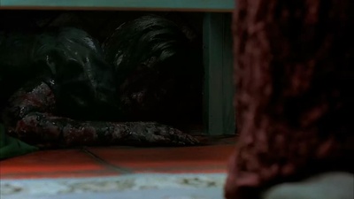 蔷花，红莲剧照的剧照