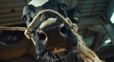 我妻子的一切剧照的剧照