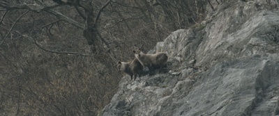 剑岳：点之记剧照的剧照