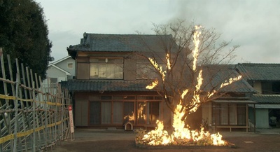 希望之国剧照的剧照