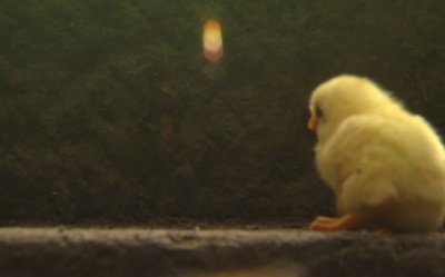 信子，36岁剧照的剧照