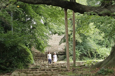 群青色大道剧照的剧照